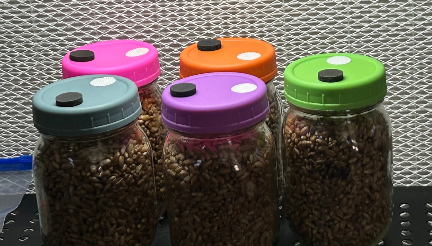 Customer photo review of Adherable Injection Ports For Plant & Mushroom Tissue Culture