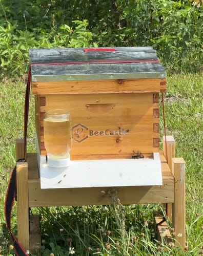 Customer photo review of Optimized 5 PACK 10 Frame Deep Box Hive Body with Wax Coating (Frameless, Logo Free) Essential Hive Part