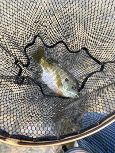 Customer photo review of Pocket Water + Tether
