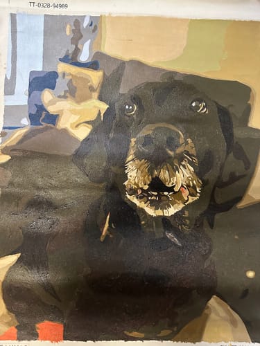 Customer photo review of Paint Your Pet by Numbers Featuring Custom Paint by Numbers Kit