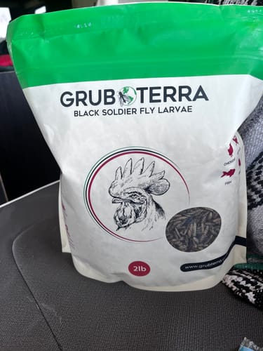 Customer photo review of GrubTerra Dried Larvae Sample