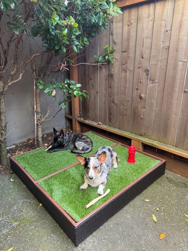 Customer photo review of Porch Potty MEGA