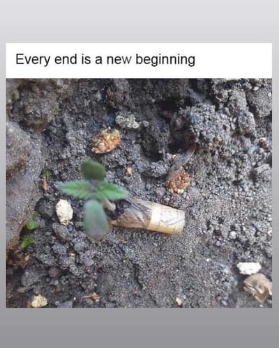 Customer photo review of Kandy Boy THC Sugar Infused Recipe Book