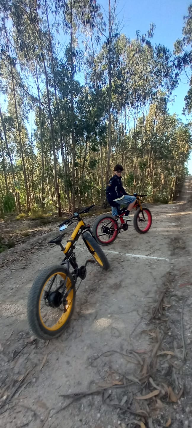 Customer photo review of Bezior X Plus Electric Mountain Folding Bike