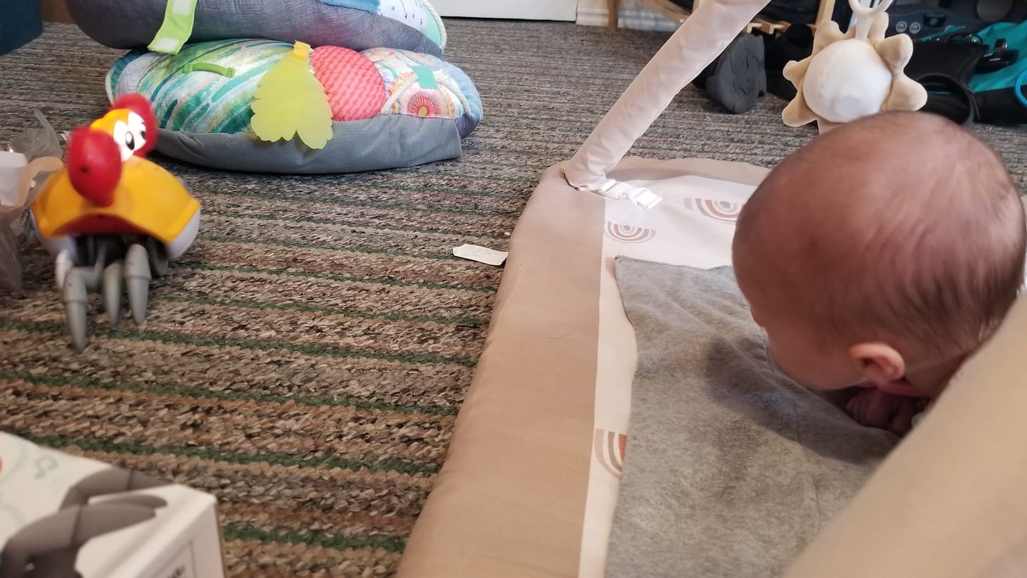 Customer photo review of The Crawly Crab™