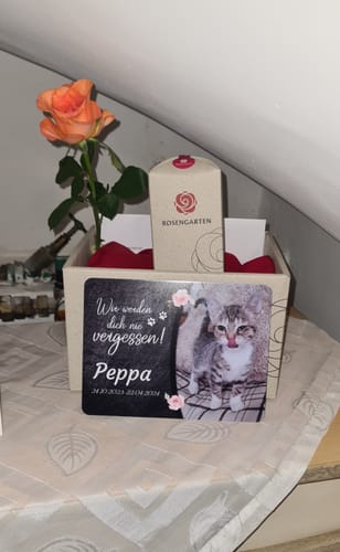 Customer photo review of Katzen Gedenktafel mit Foto & Spruch (UV- & Wetterfest)