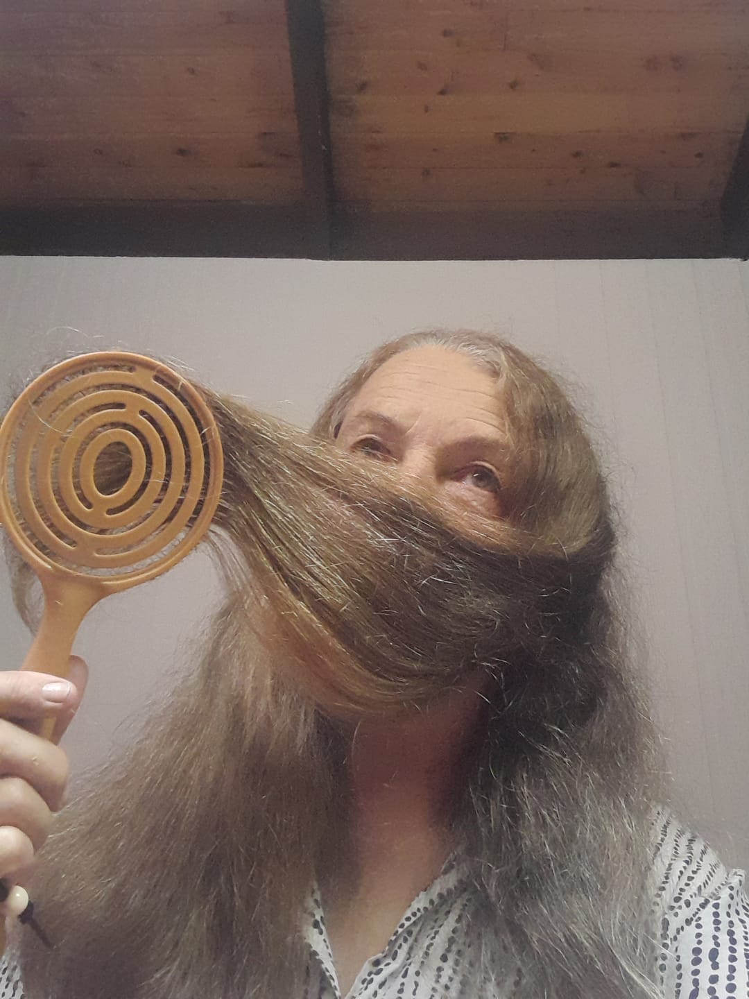 Customer photo review of Queen's Brush - Royal Mane & Tail Brush