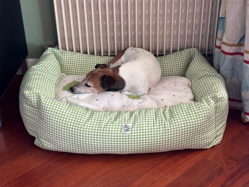 Customer photo review of Divanetto Vichy Verde Chiaro