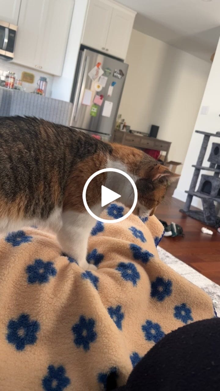 Customer video review of Little Summer Blanket