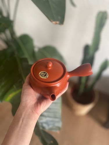 Customer photo review of Red Japanese Clay Teapot