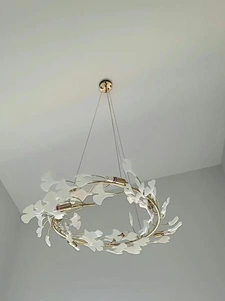 Customer photo review of GINGKO