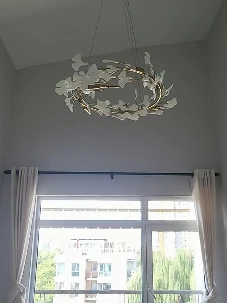 Customer photo review of GINGKO