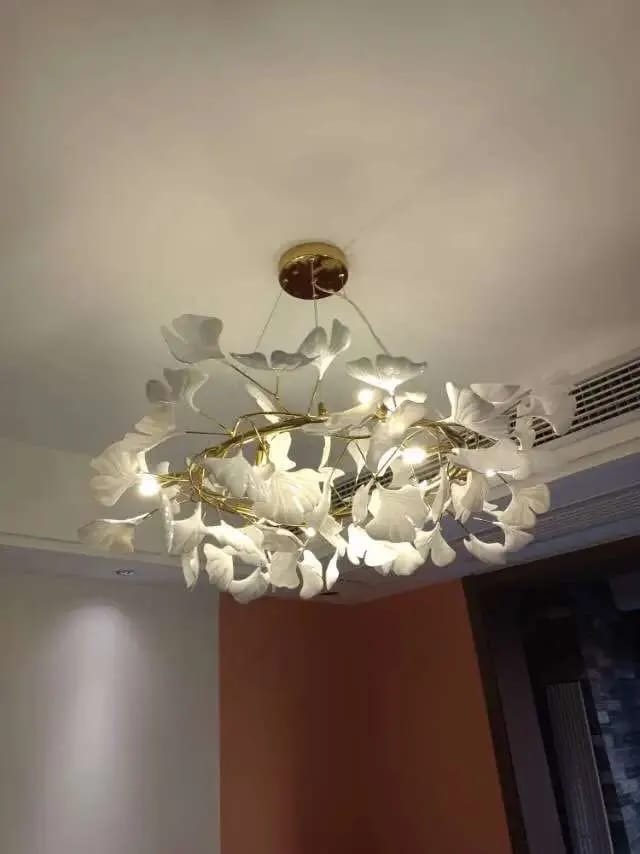 Customer photo review of GINGKO