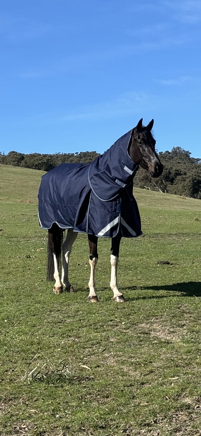 Customer photo review of LE Boxter Turnout Ripstop 200g
