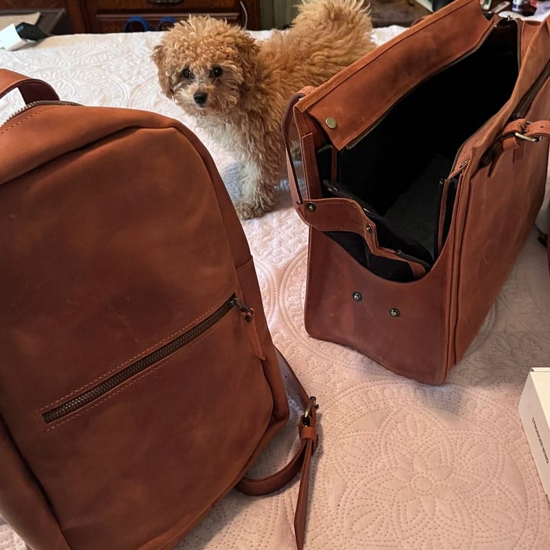 Customer photo review of Dog Travel Bag