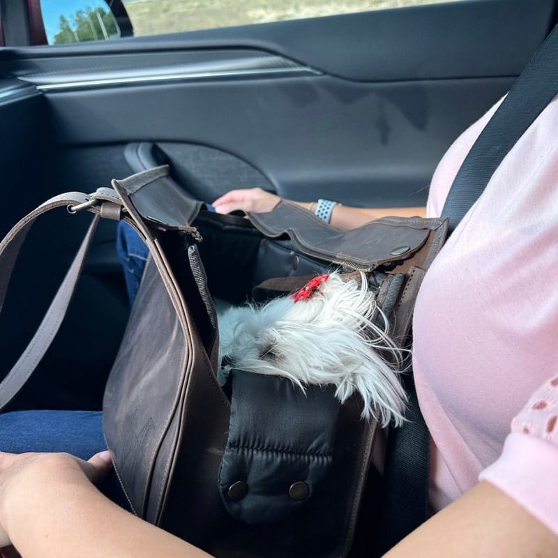 Customer photo review of Dog Travel Bag