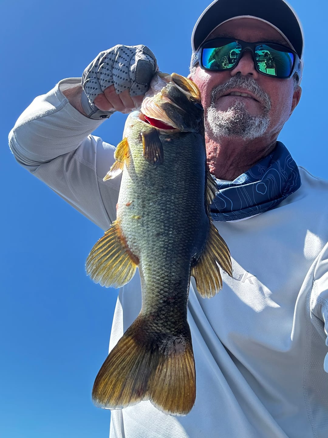 Customer photo review of 200% Sensitivity Tungsten Worm Weights | Bullet Weights | 2 Colors 10 Piece | Bulk Pack