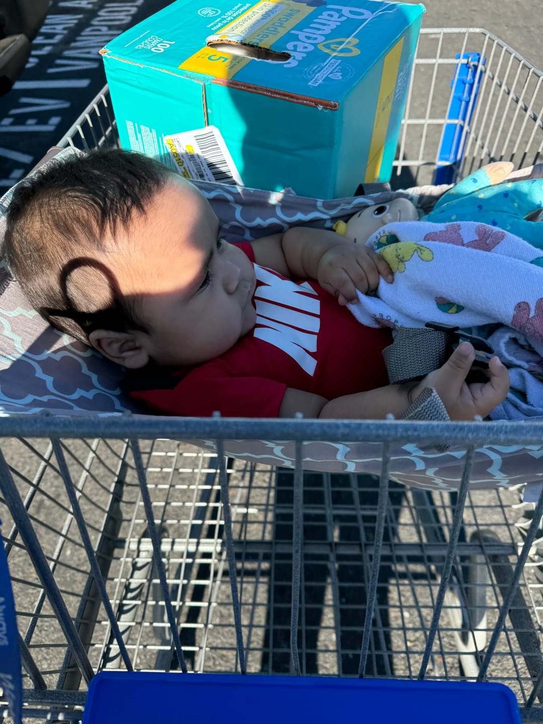 Customer photo review of SAVE with Open Box Hammocks!