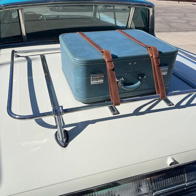 Customer photo review of Luggage Straps