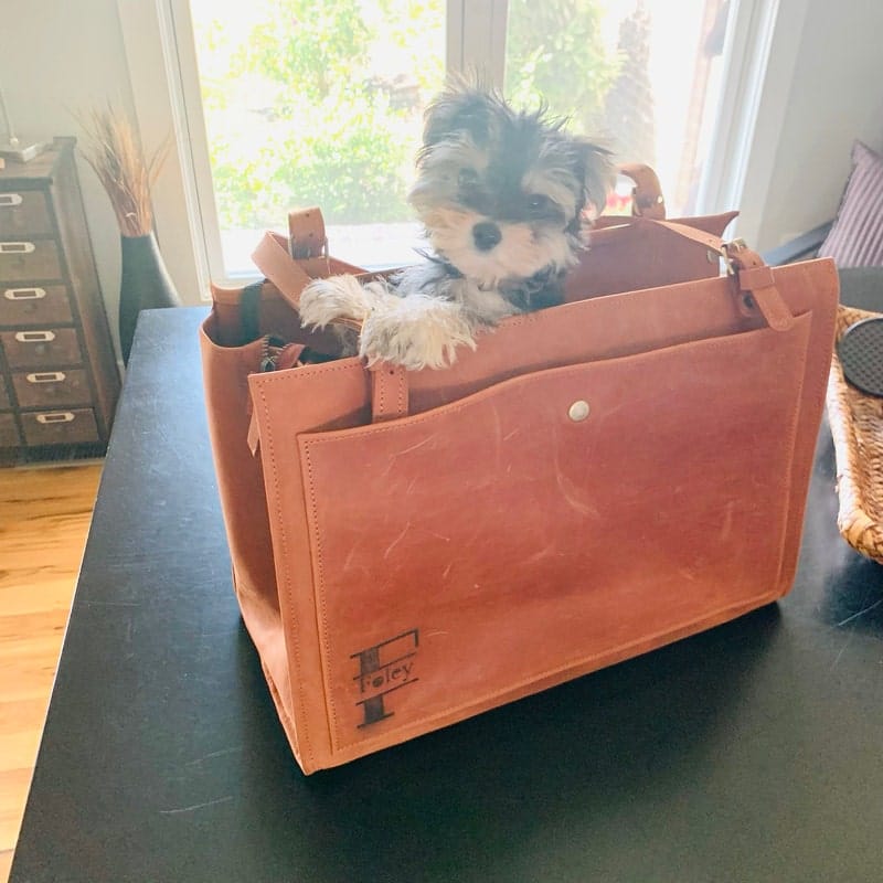 Customer photo review of Dog Travel Bag