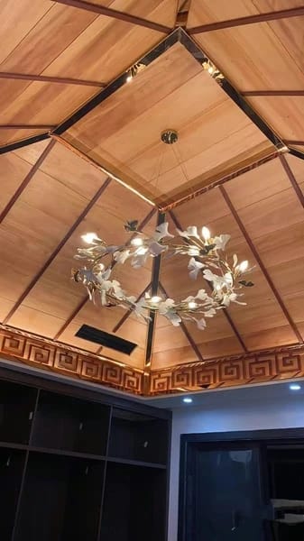 Customer photo review of GINGKO