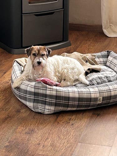 Customer photo review of Trapuntina Arrotolabile Cotone Urban Righe Beige