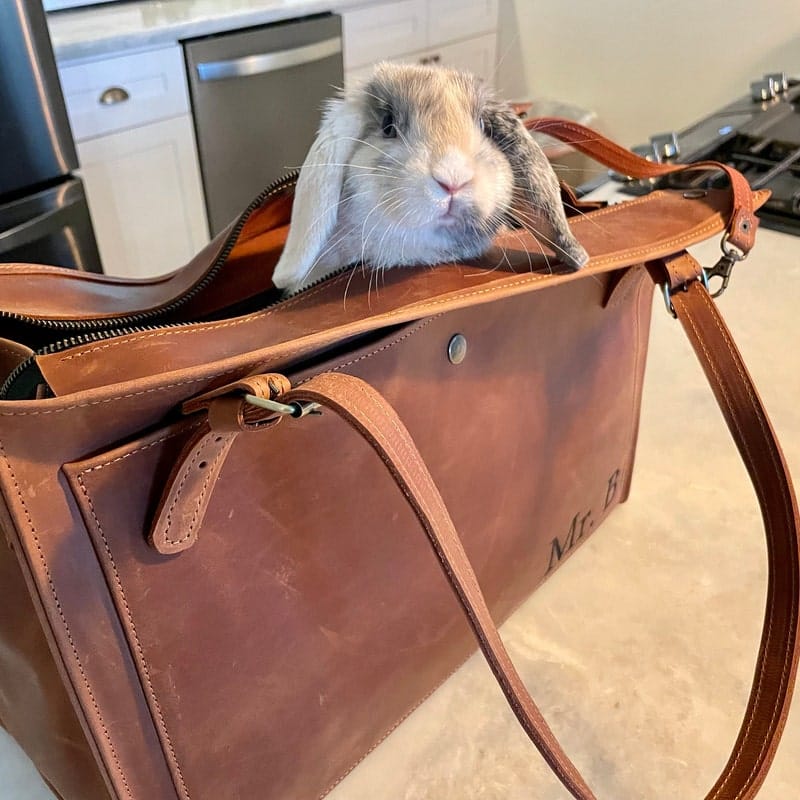 Customer photo review of Dog Travel Bag