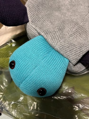 Customer photo review of Pokey The Turtle Toddler Backpack