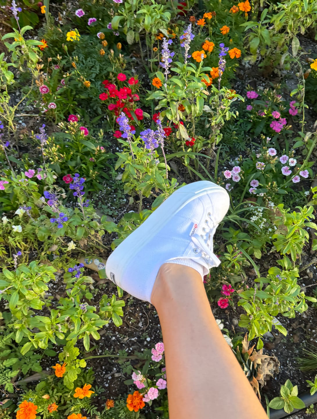 Customer photo review of 2790 Platform Sneakers