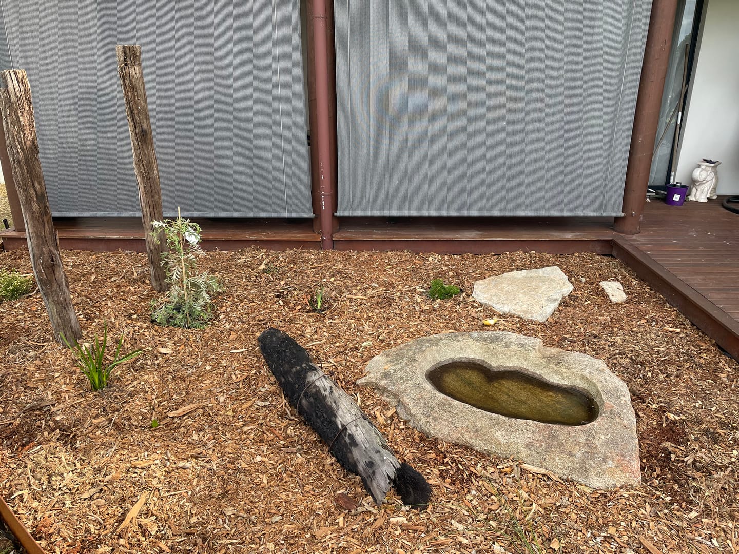 Customer photo review of Mulch - Native mix