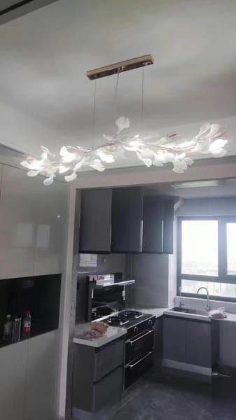 Customer photo review of GINGKO