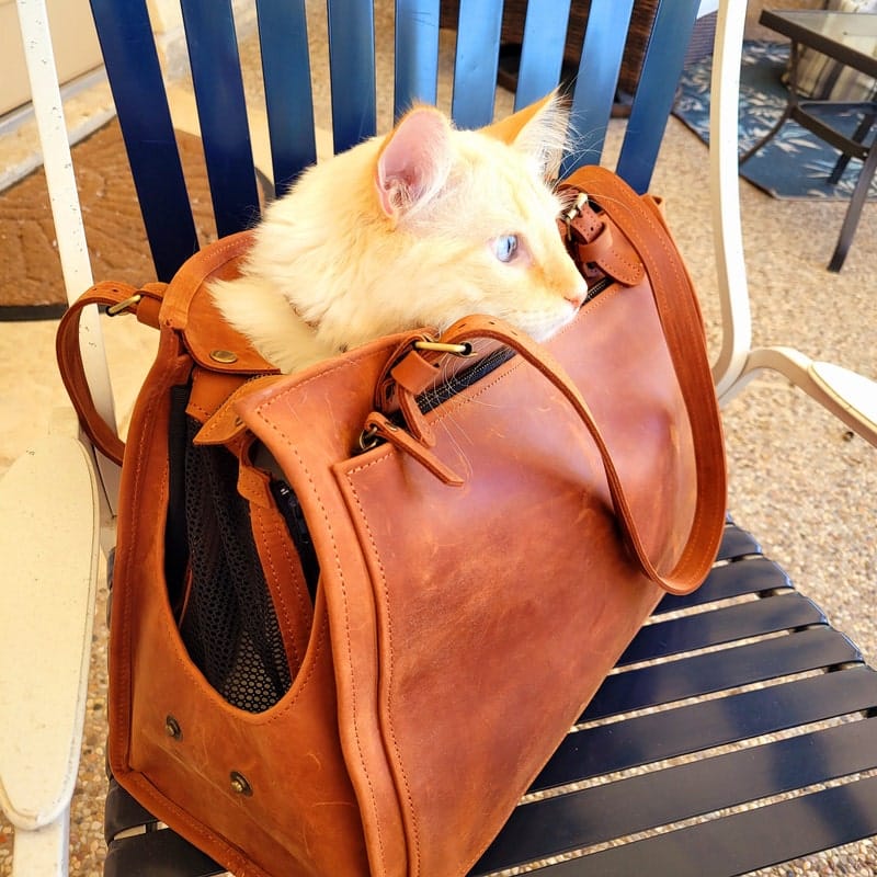 Customer photo review of Dog Travel Bag