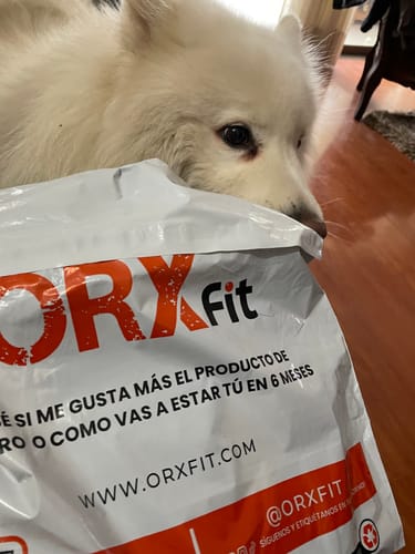 Customer photo review of Shorts Flex N' Pump Cargo Black Camo