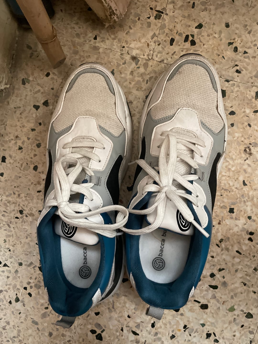 Customer photo review of Bacca Bucci Velocity