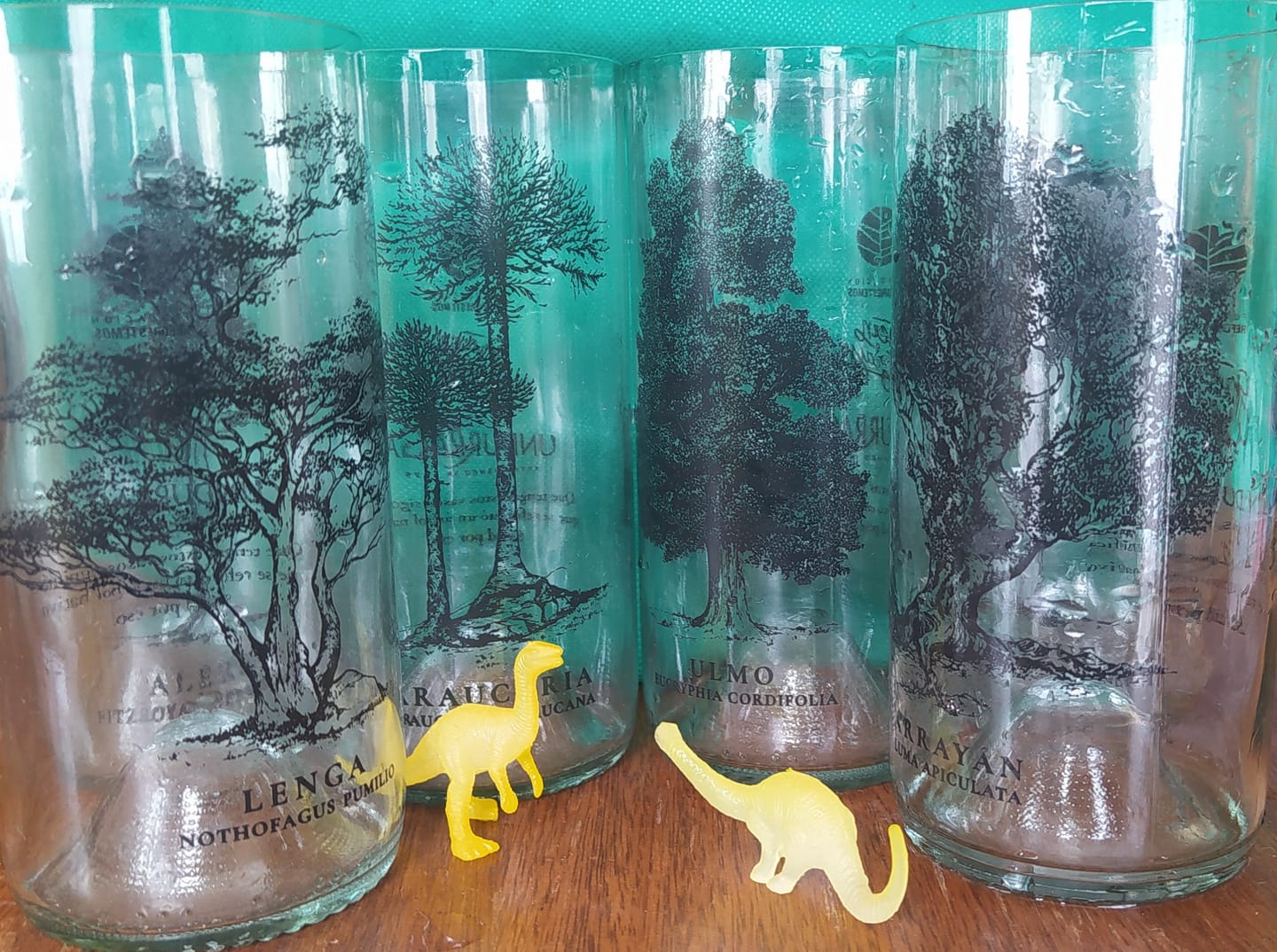 Customer photo review of Juego de 6 Vasos Árboles de Chile
