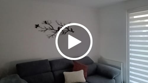 Customer video review of Oiseaux sur branche - 2