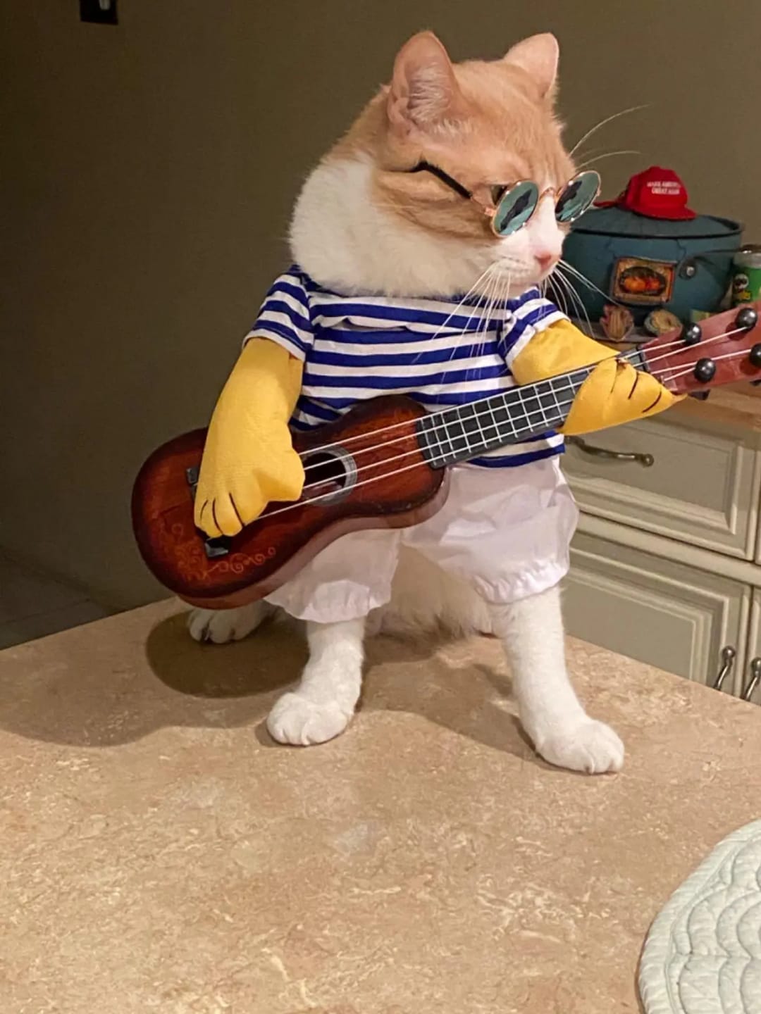 Customer photo review of The Guitarist Dog Costume for Halloween