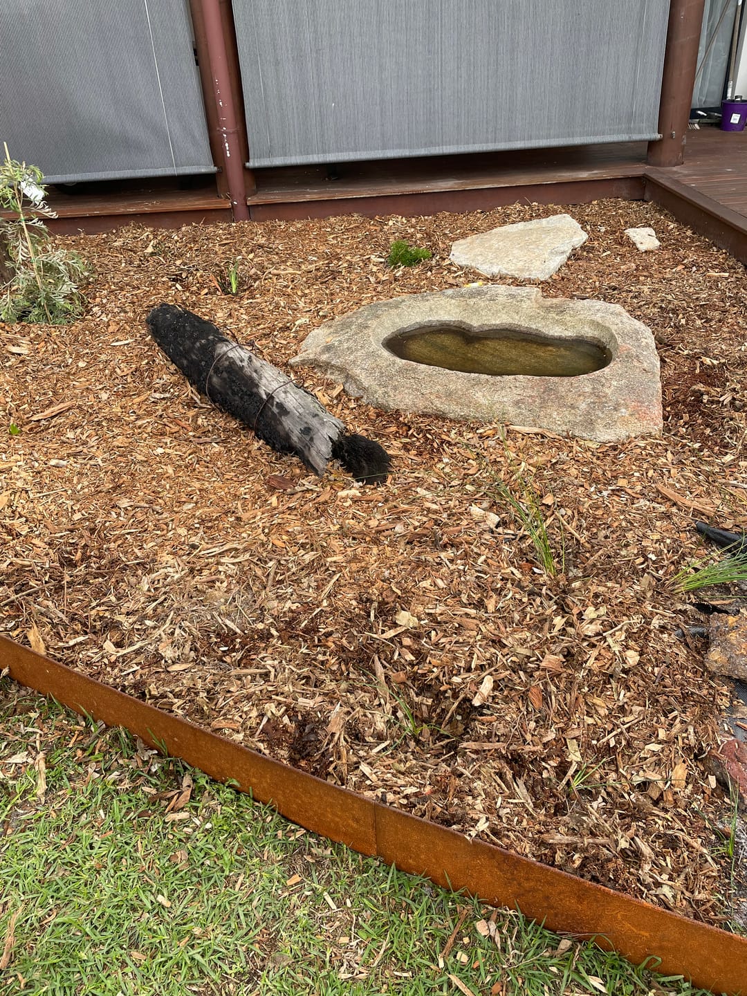 Customer photo review of StraightCurve metal garden edging