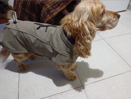 Customer photo review of Reflective Waterproof Dog Jacket