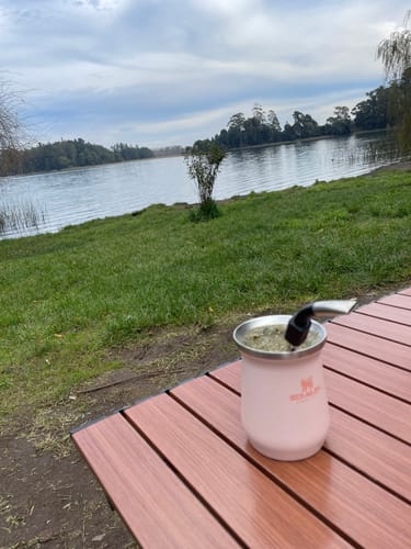 Customer photo review of BOMBILLA PARA MATE SPRING