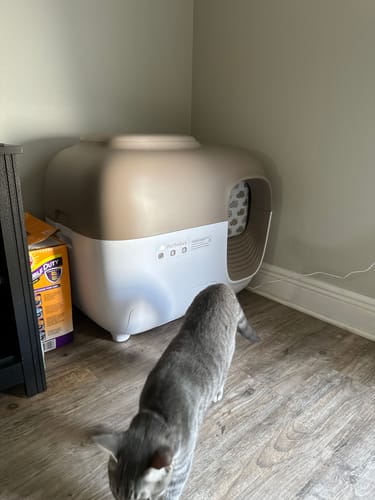 Customer photo review of Self-Cleaning Litter Box
