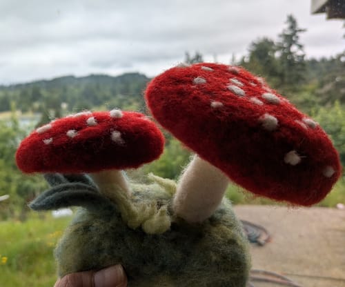 Customer photo review of Forest Toadstools Mini Needle Felting Kit
