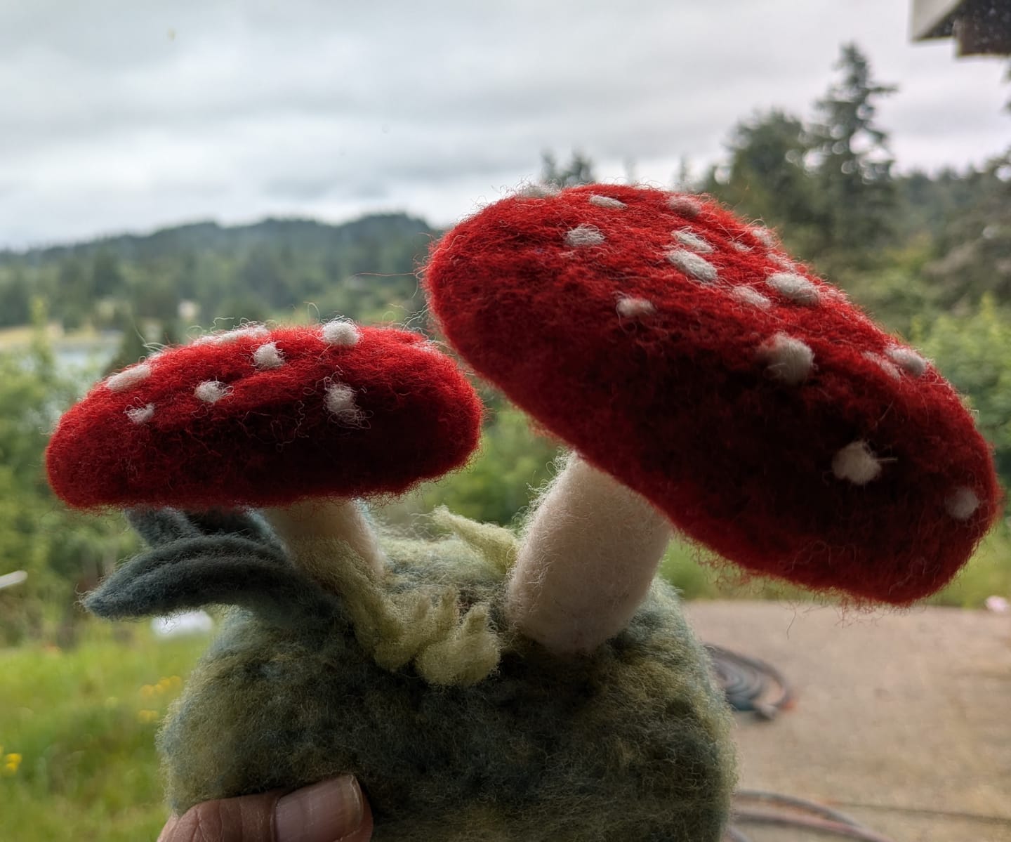 Customer photo review of Forest Toadstools Mini Needle Felting Kit