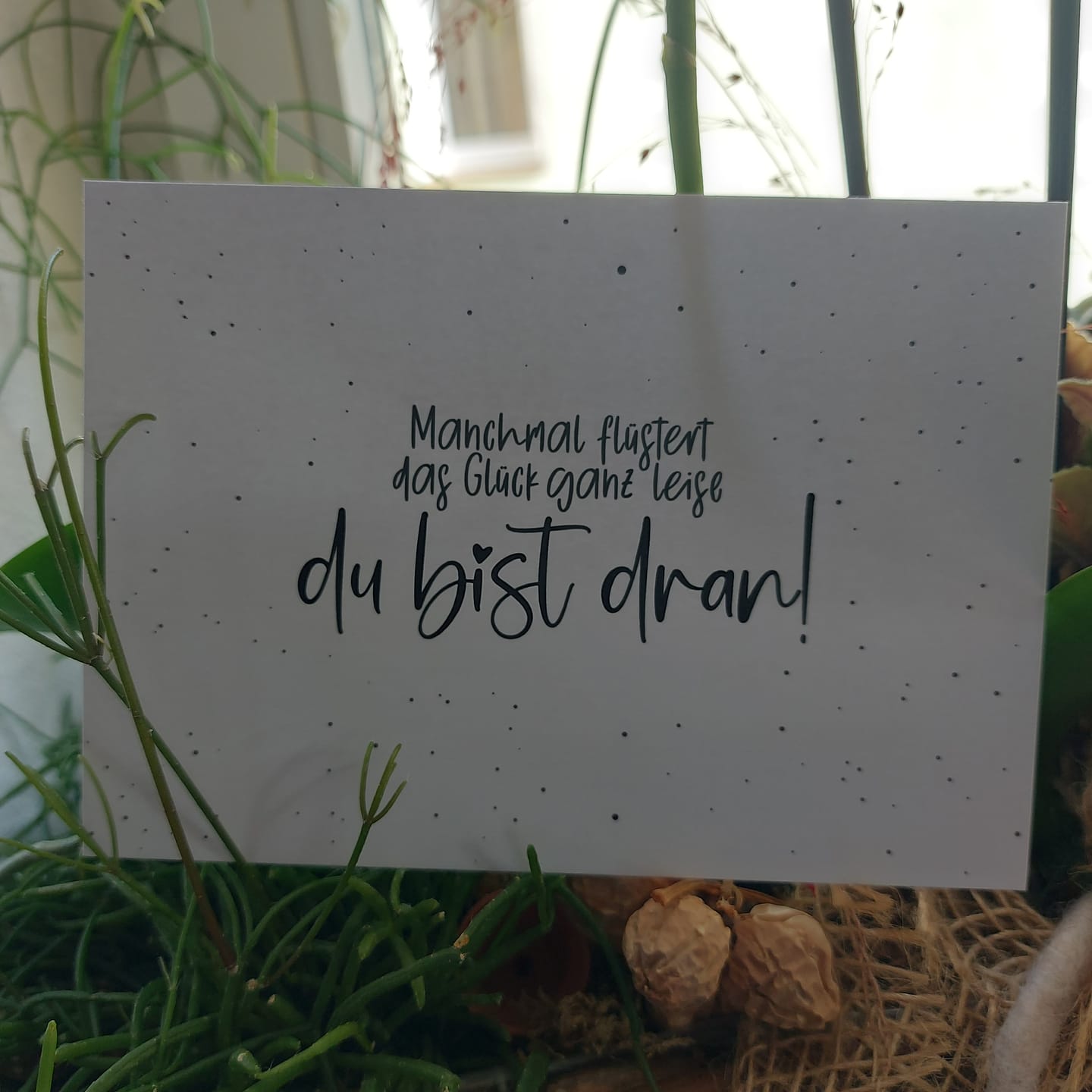 Customer photo review of Manchmal flüstert das Glück