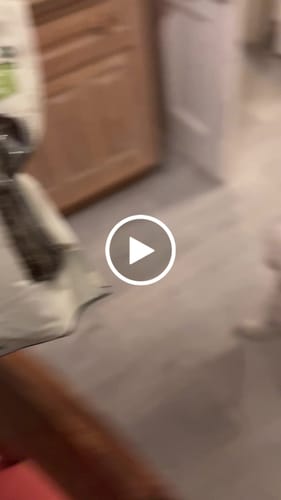 Customer video review of Lilys Kitchen Woofbrush Dental Chew (7pk)