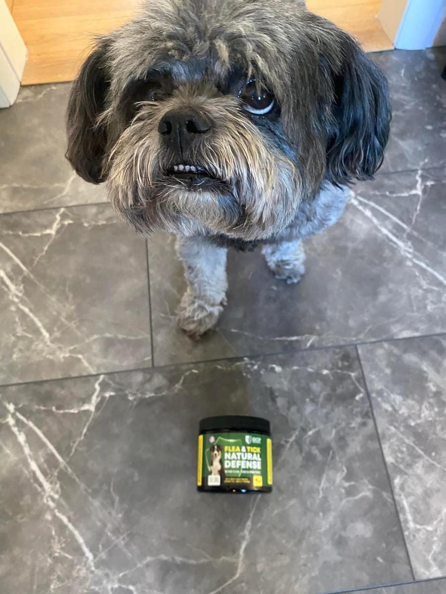 Customer photo review of GCP Flea & Tick Natural Defense for Dogs - 100 Soft Chews