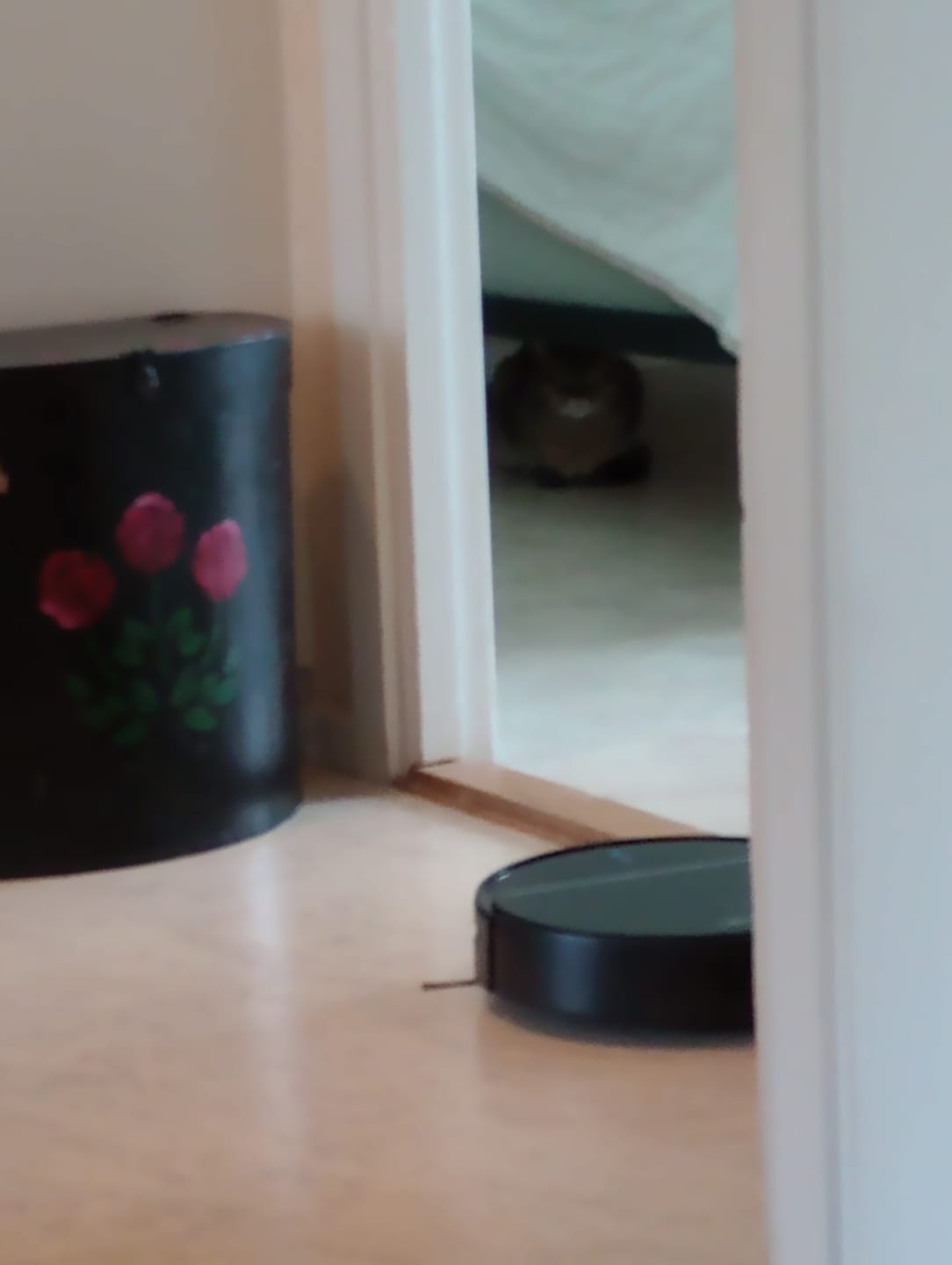 Customer photo review of Liectroux M7S pro - Robotdammsugare med moppfunktion