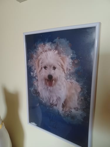 Customer photo review of Dein Hund als Aquarell Tierportrait | Geschenk für Hundebesitzer