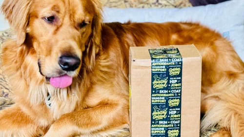 Customer photo review of Golden Gravy