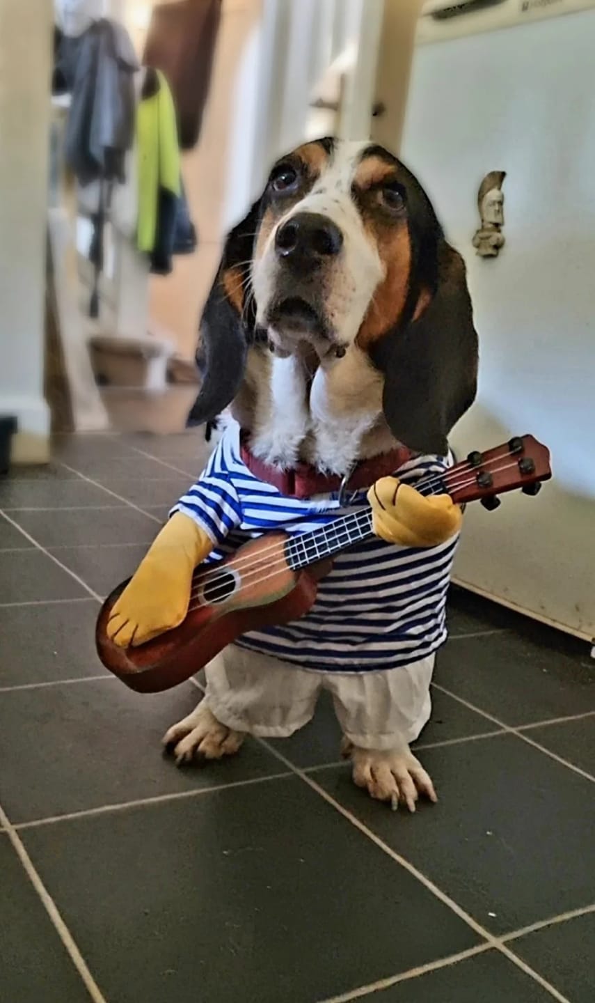 Customer photo review of The Guitarist Dog Costume for Halloween